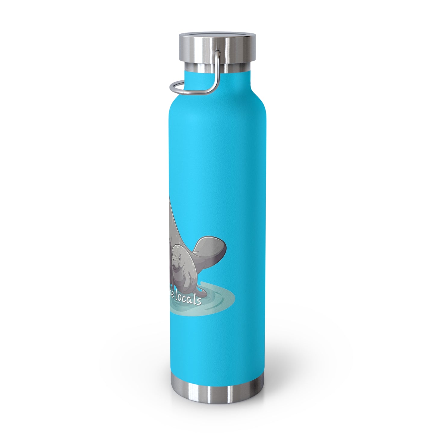 Locals Copper Vacuum Insulated Bottle, 22oz